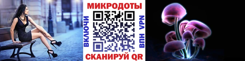 где продают   MEGA зеркало  Галлюциногенные грибы мицелий  Самара 